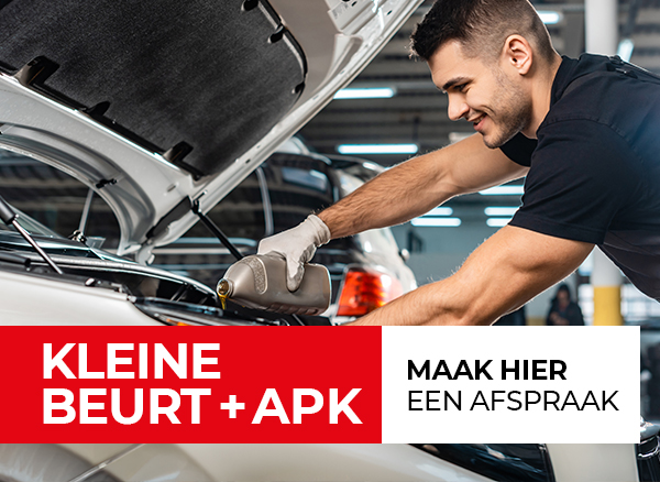 Kleine Beurt incl. APK va € 218,- (4 cil. Benzine)